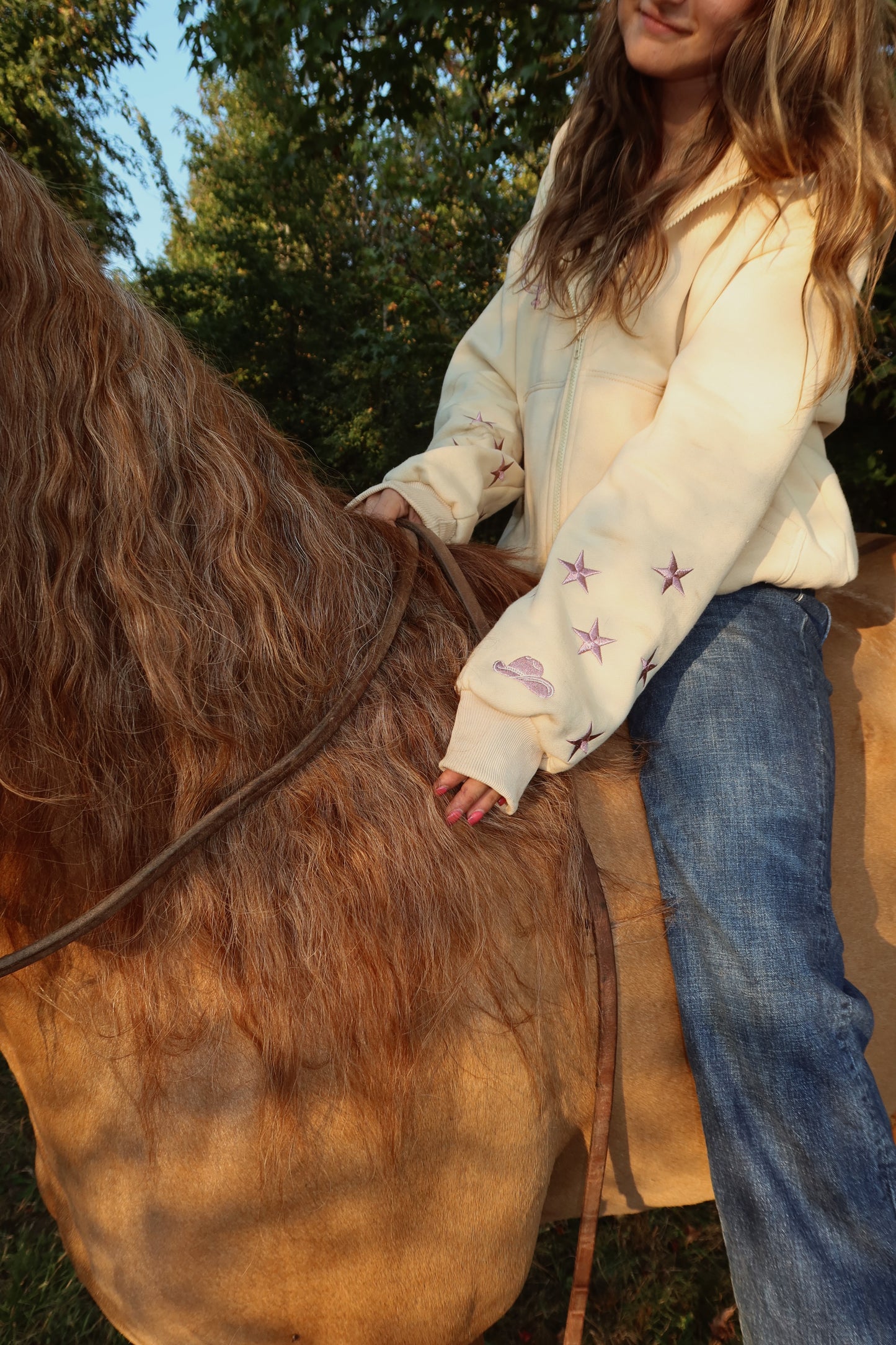 NEW! Champagne Stars Zip Up Hoodie: Western Edit w/ Metallic Embroidery